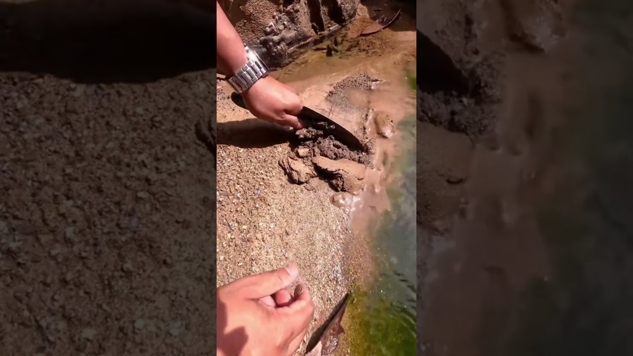 Hidden Gold in Calm Waters – Simple River Panning Trick!