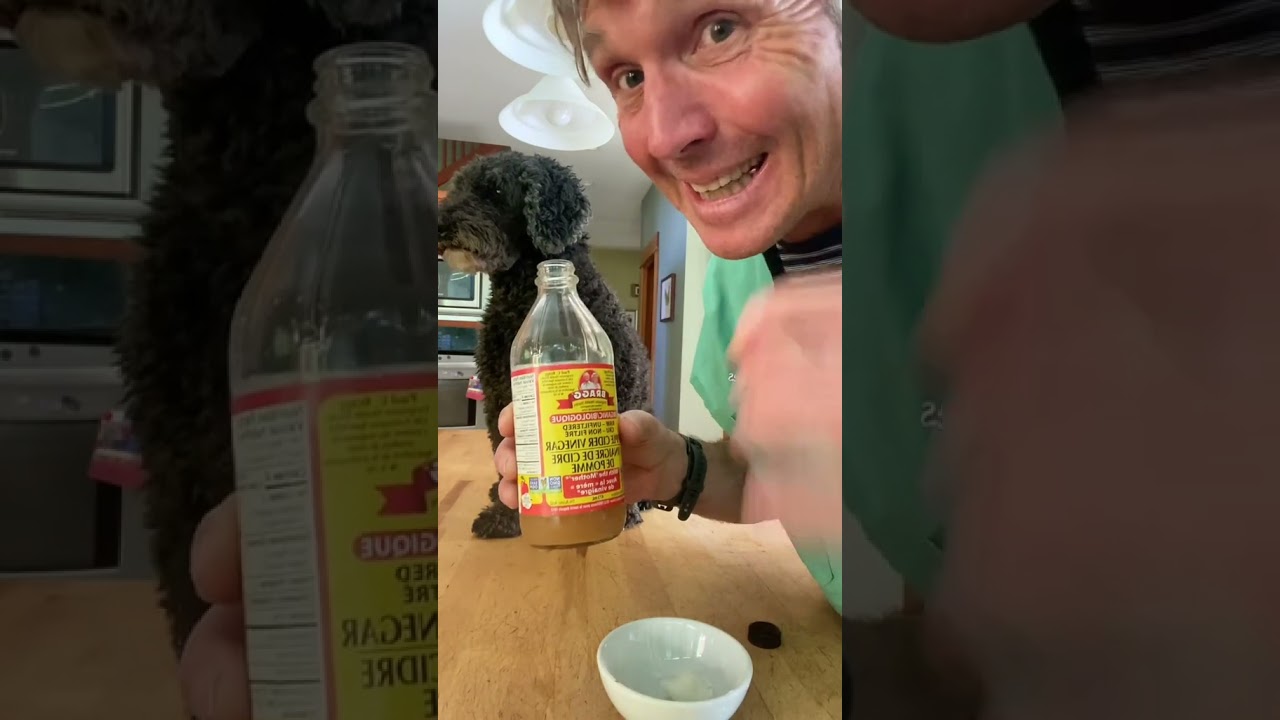 Stinky Dog Breath Try this New Remedy!