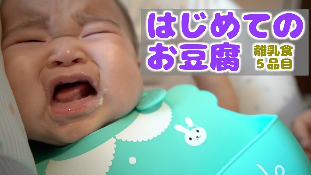 初めてのお豆腐！もっと食べたくて泣いちゃいました【離乳食初期】Baby eating tofu for the first time.