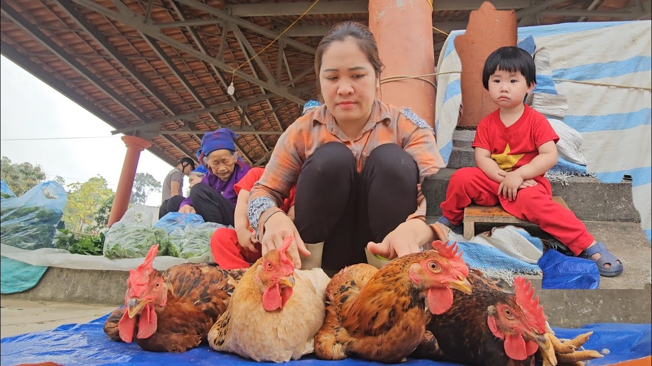 fix the burnt tent, clean the house, take the chicken to the market to sell and cook