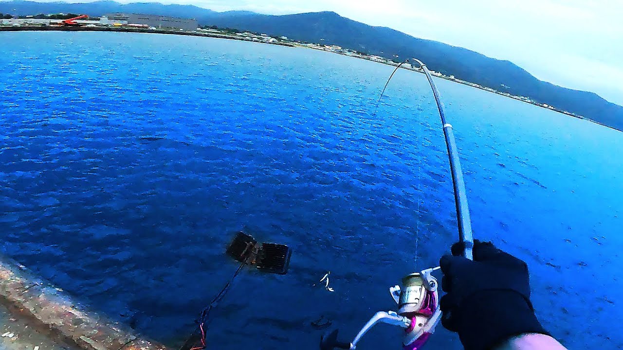 【北海道石狩湾・小樽釣り】ここには大サバもイワシもいる!!　2025.8.14　北国の生活（岩内港フェリー埠頭、サビキ釣り、投光器、夜釣り）