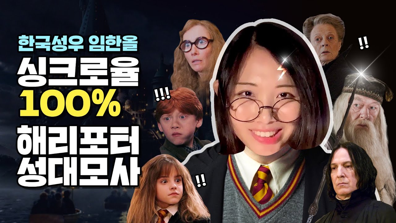 싱크로율 1000% 해리포터 성대모사! | Harry Potter Impressions