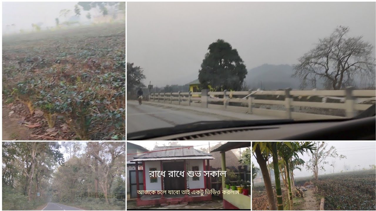 বাপের বাড়ি থেকে চলে এলাম মনটা খারাপ হলেও কিছু করার নেই।আজ নয়তো কাল আসতেই হবে 🥺🥺