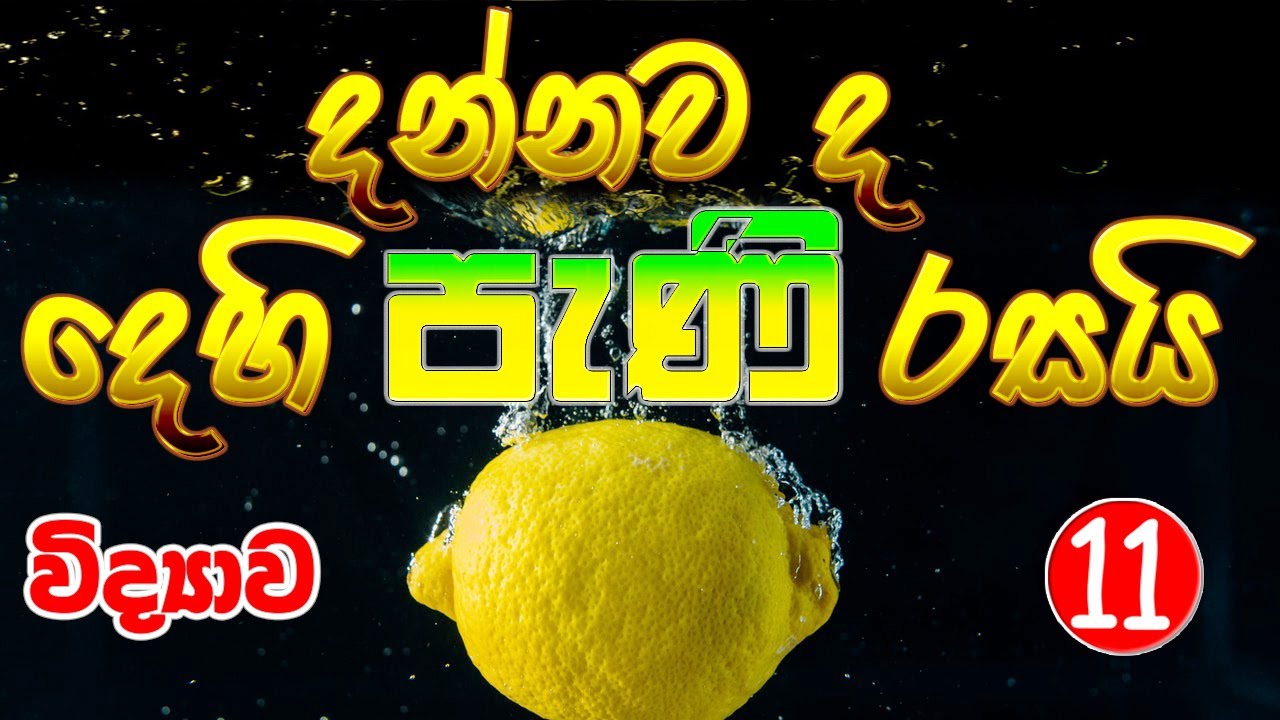 Grade 11 Science | අම්ල භස්ම හා ලවණ (1 කොටස) | Unit 7 | Ol Science  Sinhala | Acid Base Salt
