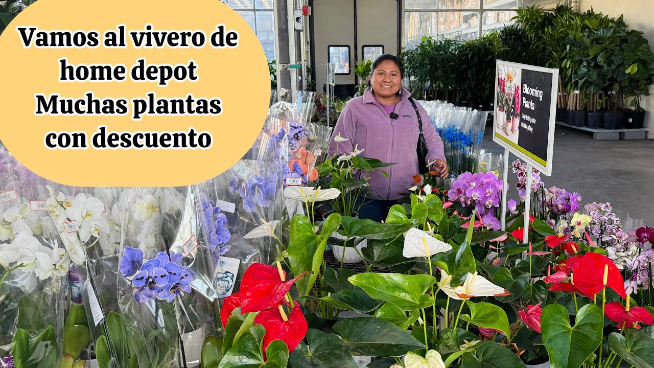 Visitando Vivero de Home depot en Año nuevo Muchas plantas en descuento
