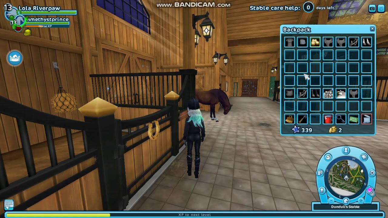 Buying my dream horse the Connamara/ Star Stable Online