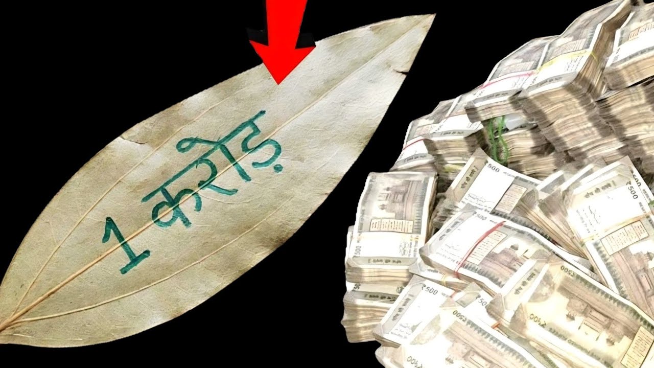 तेज पत्ता आपको रातों-रात धनवान बनाएगा, मालामाल कर देगा || Pradeep ji mishra