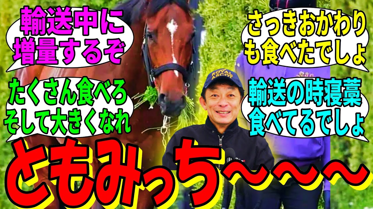 【競馬の反応集】「ともみっち～～～」に対する視聴者の反応集