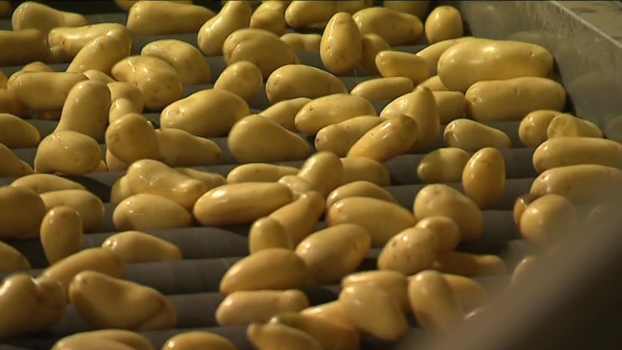 Vic-sur-Aisne : le berceau des chips Vico
