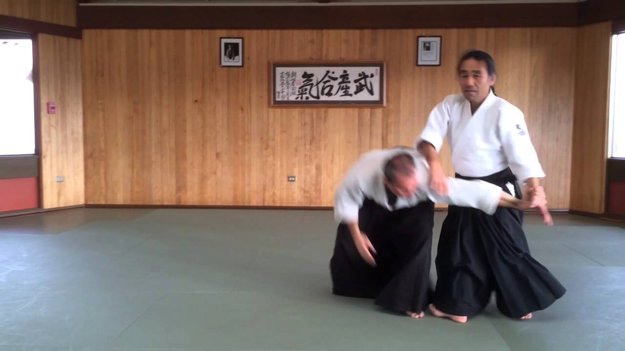 Yoshi Shibata Sensei at UC Santa Cruz - 1/29/14