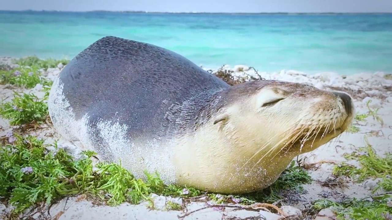 Western Australia's newest National Park - the Houtman Abrolhos Islands
