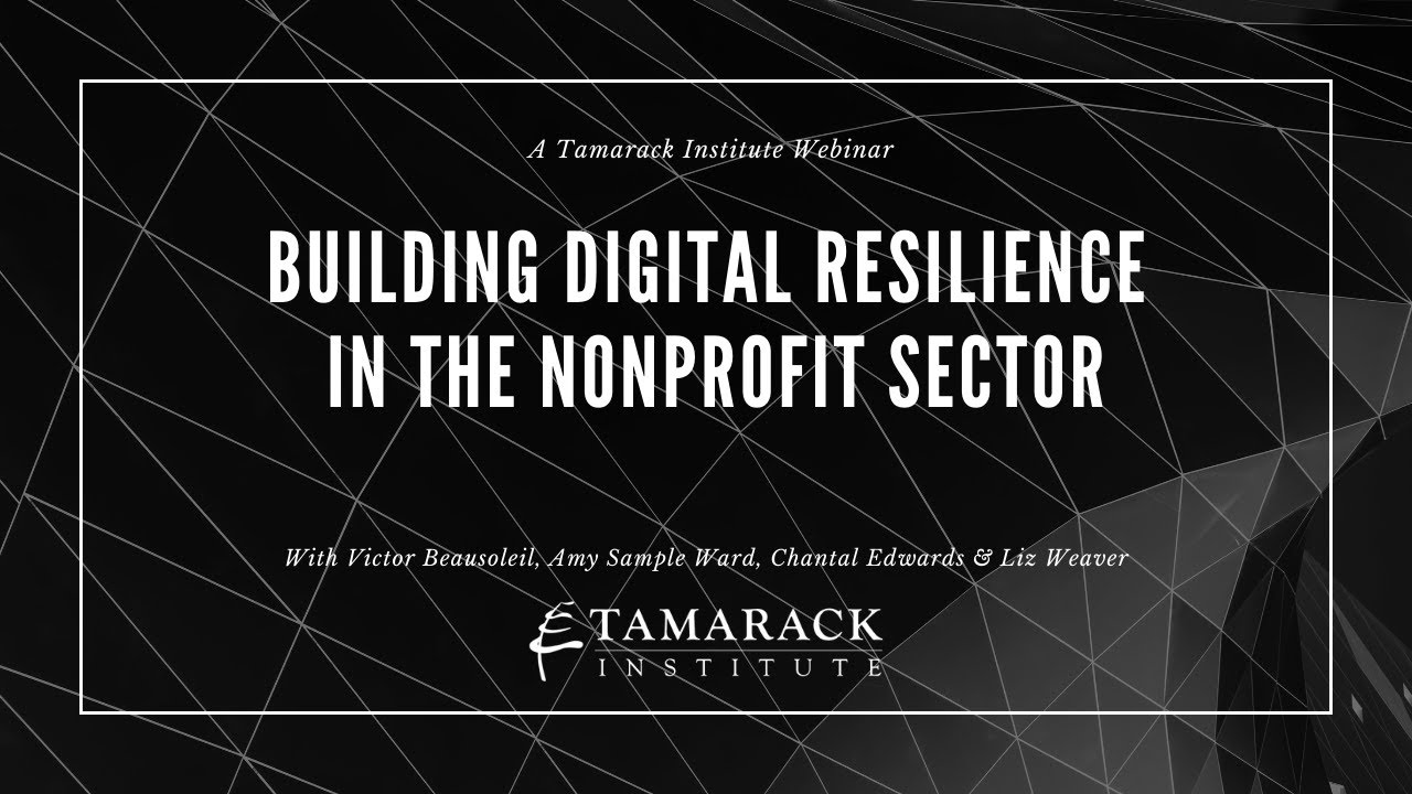Building Digital Resilience in the Nonprofit Sector
