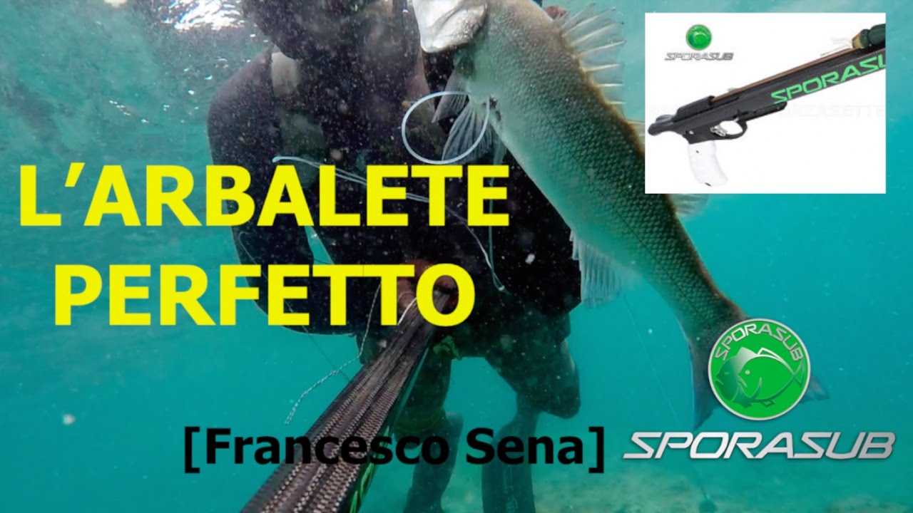 L' Arbalete Perfetto -  The Perfect Speargun [Francesco Sena]