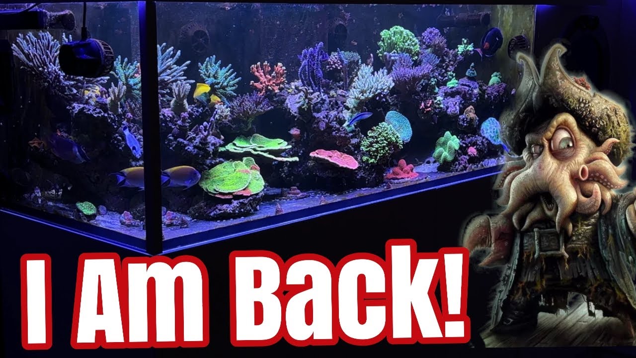 180 Gallon Reef Aquarium