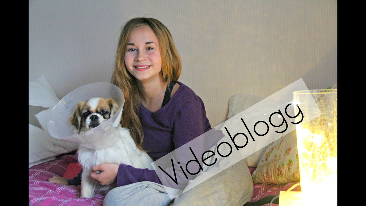Snickesnack video
