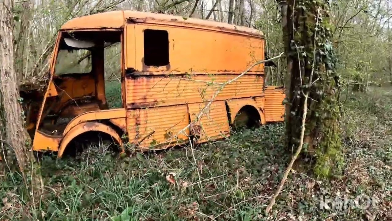 REGARDER SE QUE j 'AI TROUVÉ AU MILIEU DES BOIS 