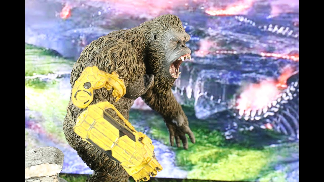 Star Ace 30cm Kong 2024 with BEAST Glove