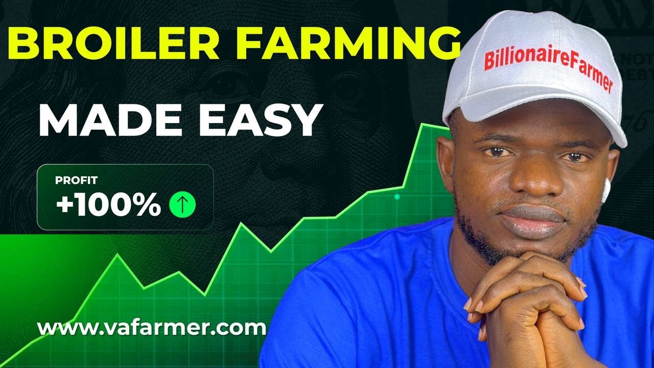 В прямом эфире: Как контролировать потребление корма бройлерами