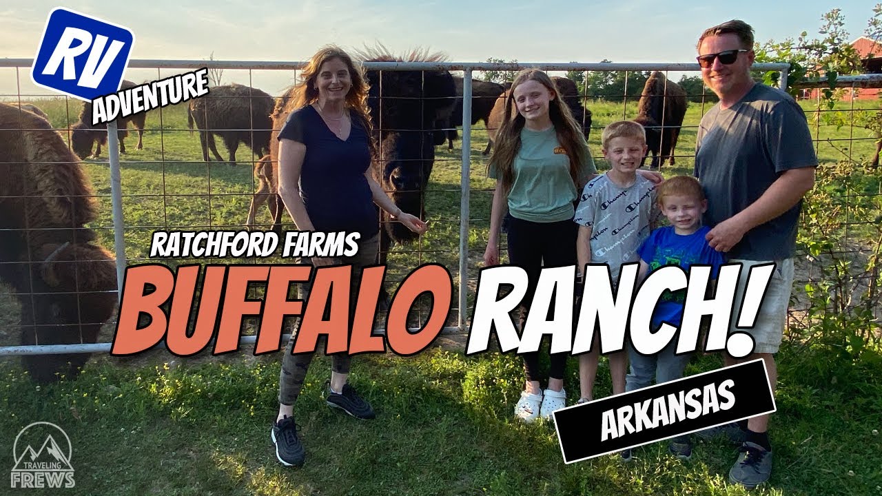 The American Buffalo! Up close and personal with Dangerous Wild animals at Arkansas Ratchford Farms!