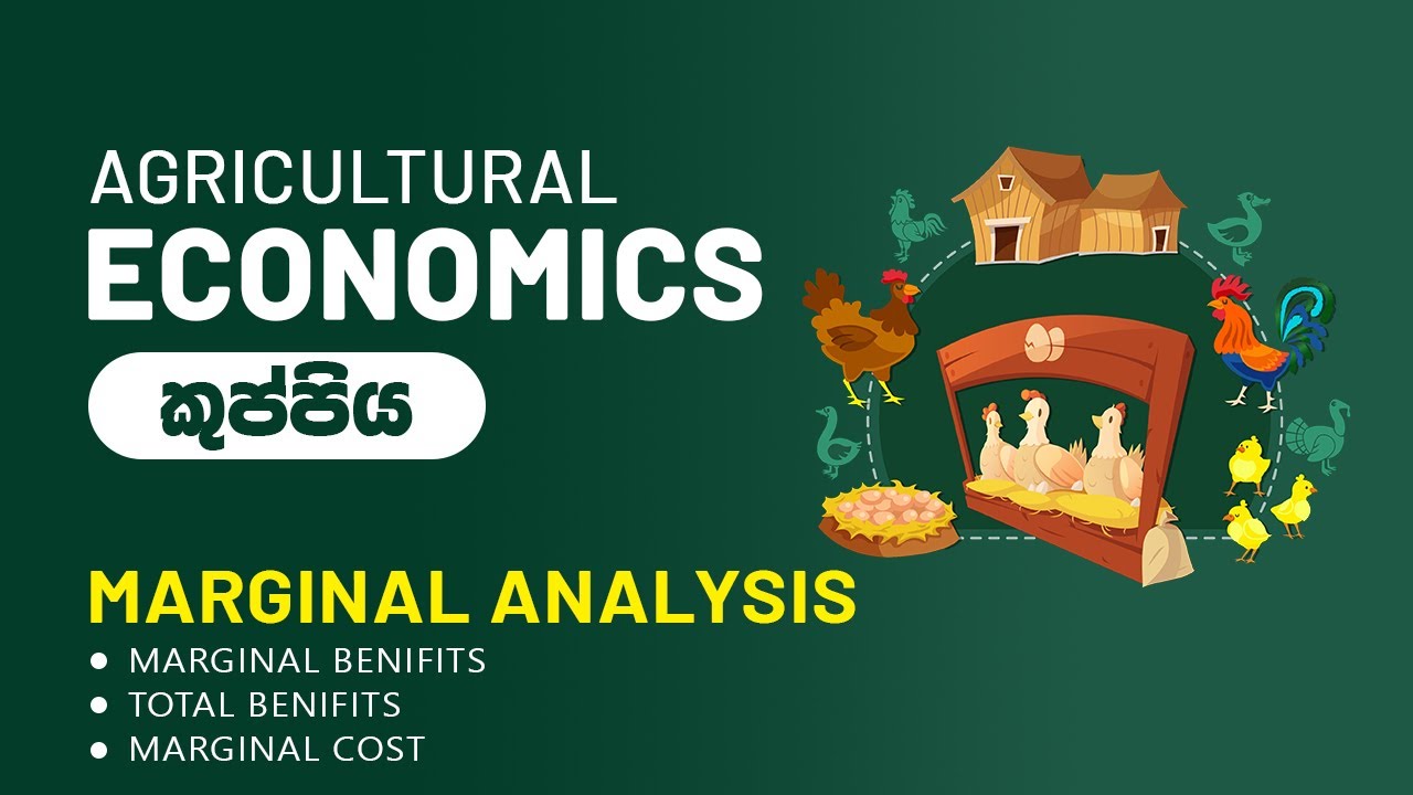 Marginal Analysis in Agricultural Economics: Optimizing Decisions | Academic Tube