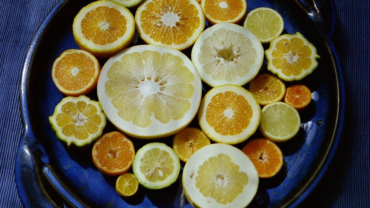 Citrus taxonomy | Wikipedia audio article