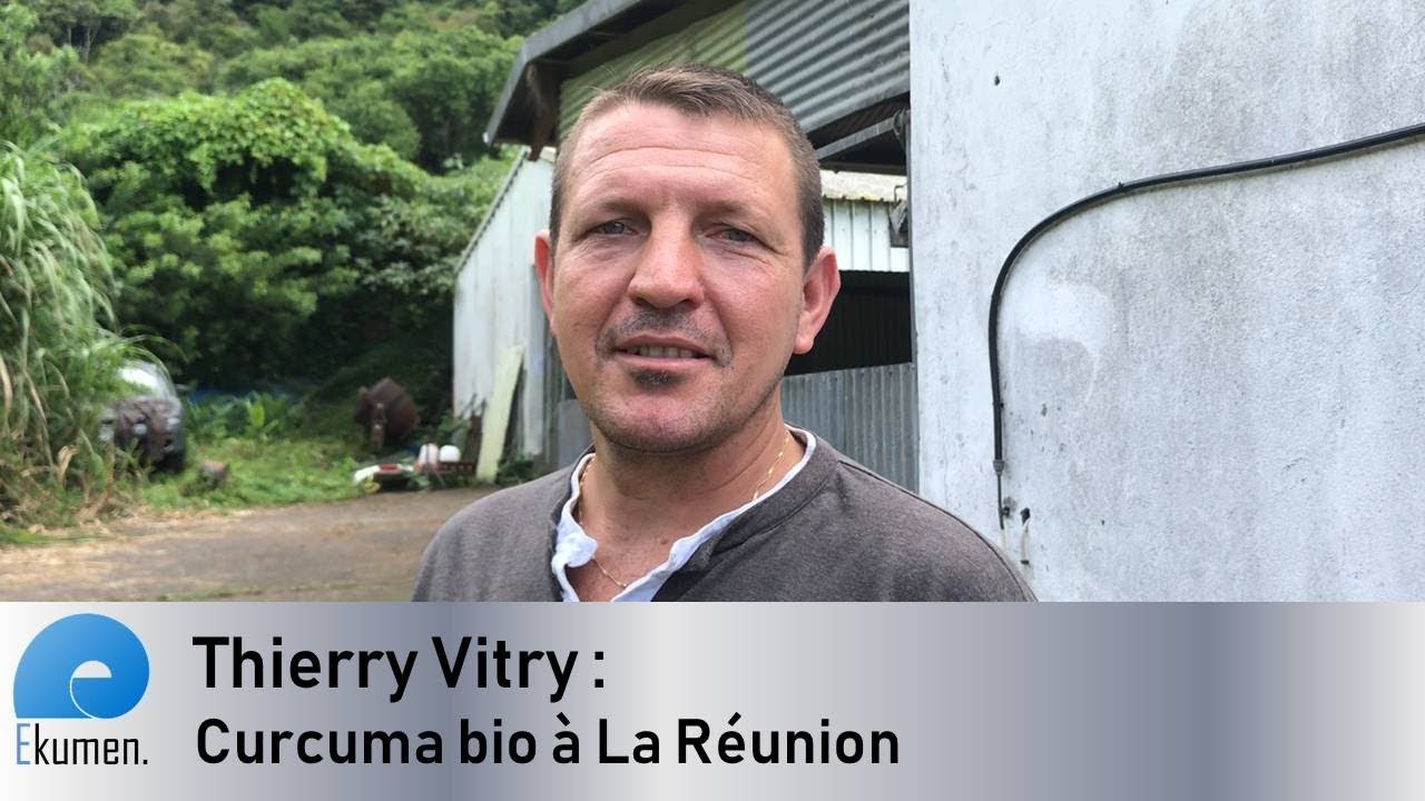 Thierry Vitry, le curcuma en conversion Bio