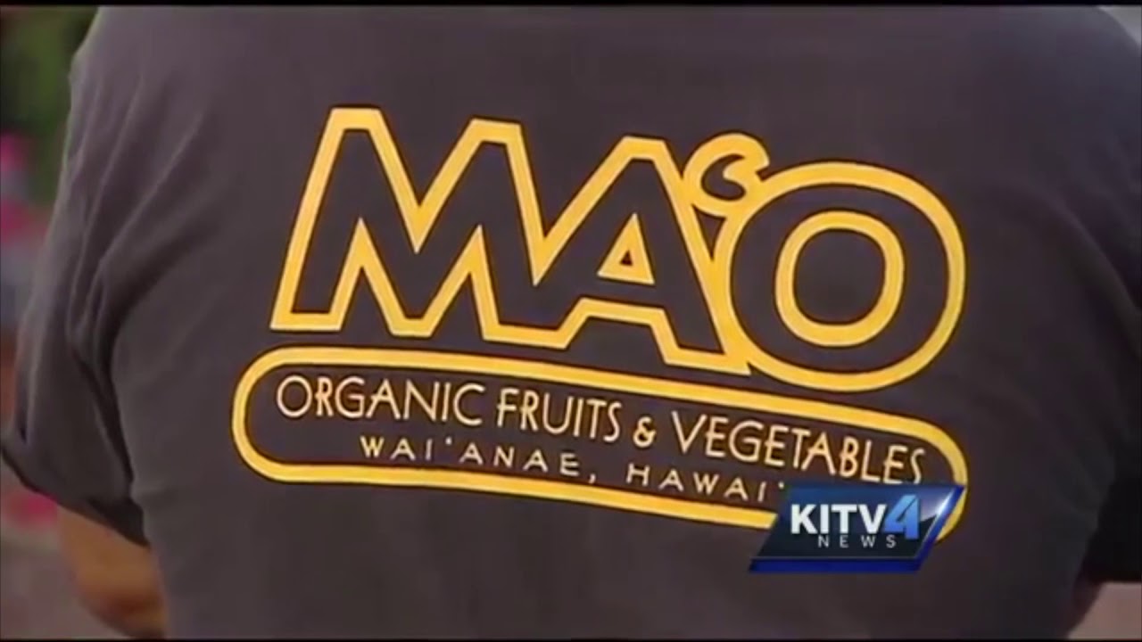 Living Earth Festival 2018: MA&lsquo;O Organic Farms