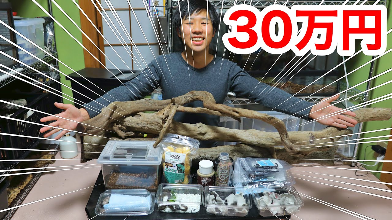 日本最大の爬虫類イベントJRSで爆買いしたものを紹介します