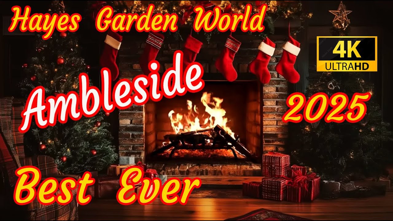 Best Christmas ever - Ambleside. A  classic Christmas