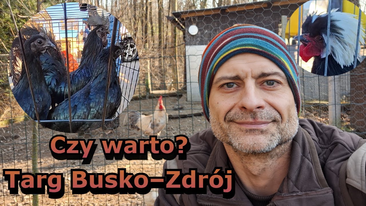 Co można kupić Targ Busko-Zdrój 09.02.2025