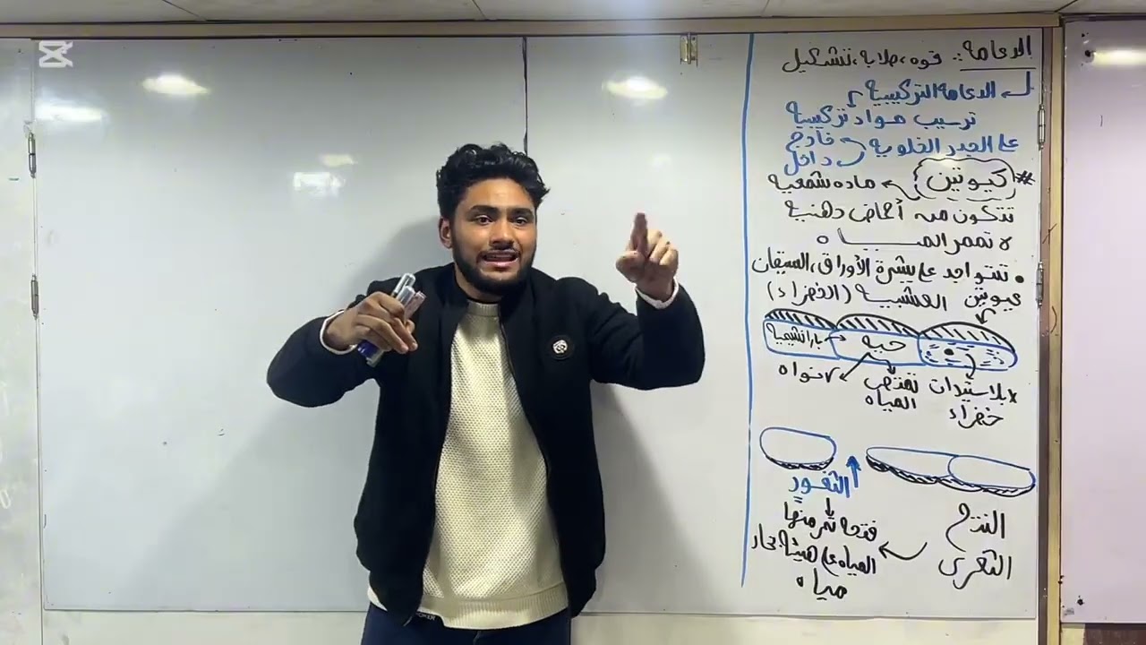 مراجعه علي الدعامه في النبات 2026 كامله 