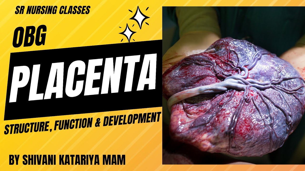 Placenta - Structure, Developments & Their Function || Shivani Maam