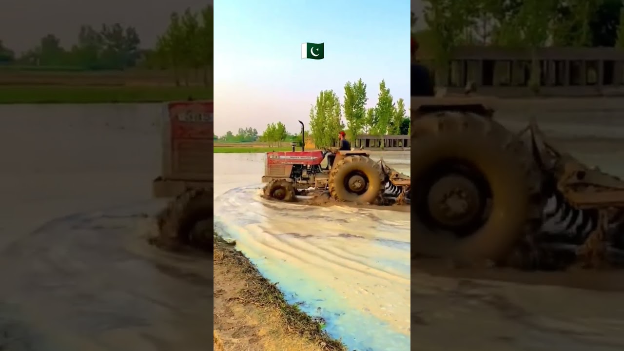 tractors in India vs Pakistan 🔥 your favorit? #tractor #indiavspakistan