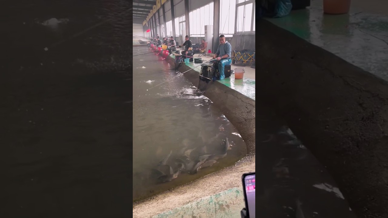 Fishing competition#shorts