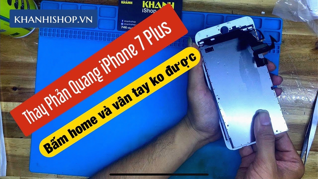 Hướng dẫn thay phản quang iPhone 7 Plus ở quận 6