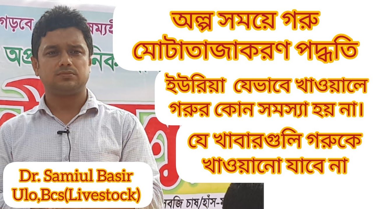 অল্প সময়ে গরু মোটাতাজাকরণ পদ্ধতি। গরু মোটাতাজা করার বৈজ্ঞানিক উপায়। গরুকে দ্রুত মোটা করার উপায়।