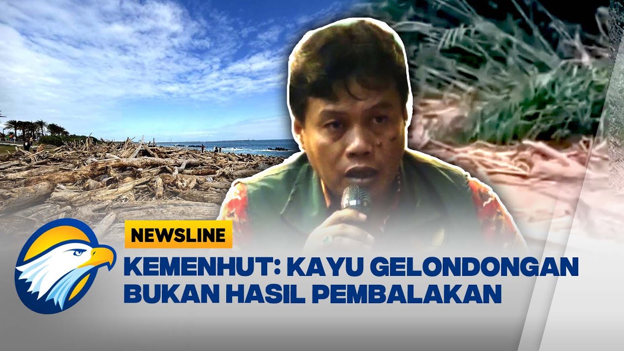 Kemenhut Bantah Kayu Banjir Sumut Hasil Pembalakan Liar - [Newsline]