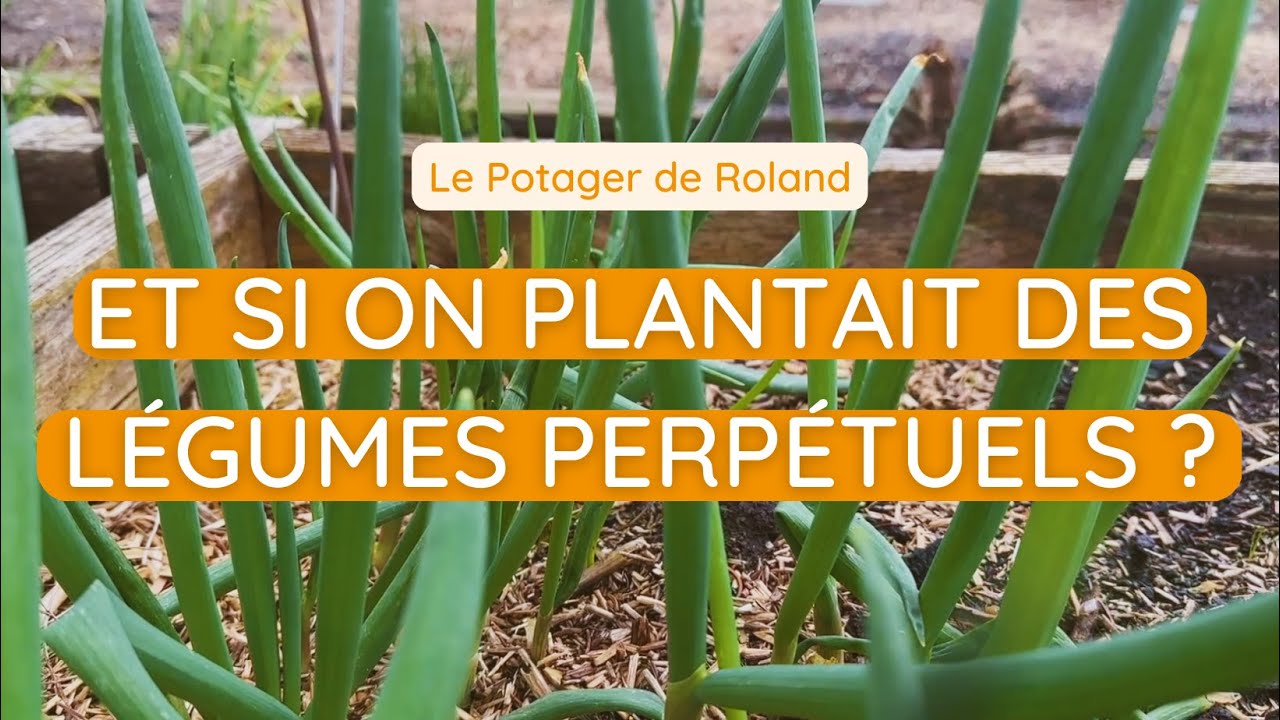DÉCOUVREZ LES LÉGUMES PERPÉTUELS (LE POTAGER DE ROLAND)