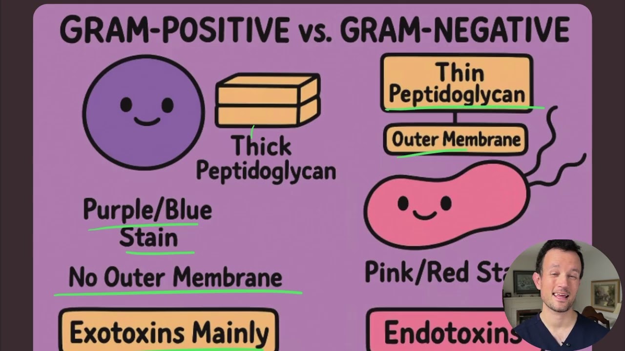 Microbiology and Embryology for the Canadian Dental Hygiene Board Exam Prep. NDHCE Embryology 5