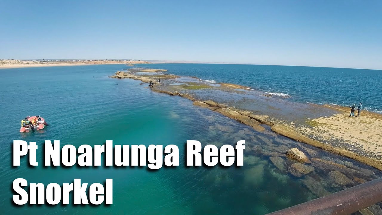 Pt Noarlunga Reef - South Australia - snorkel