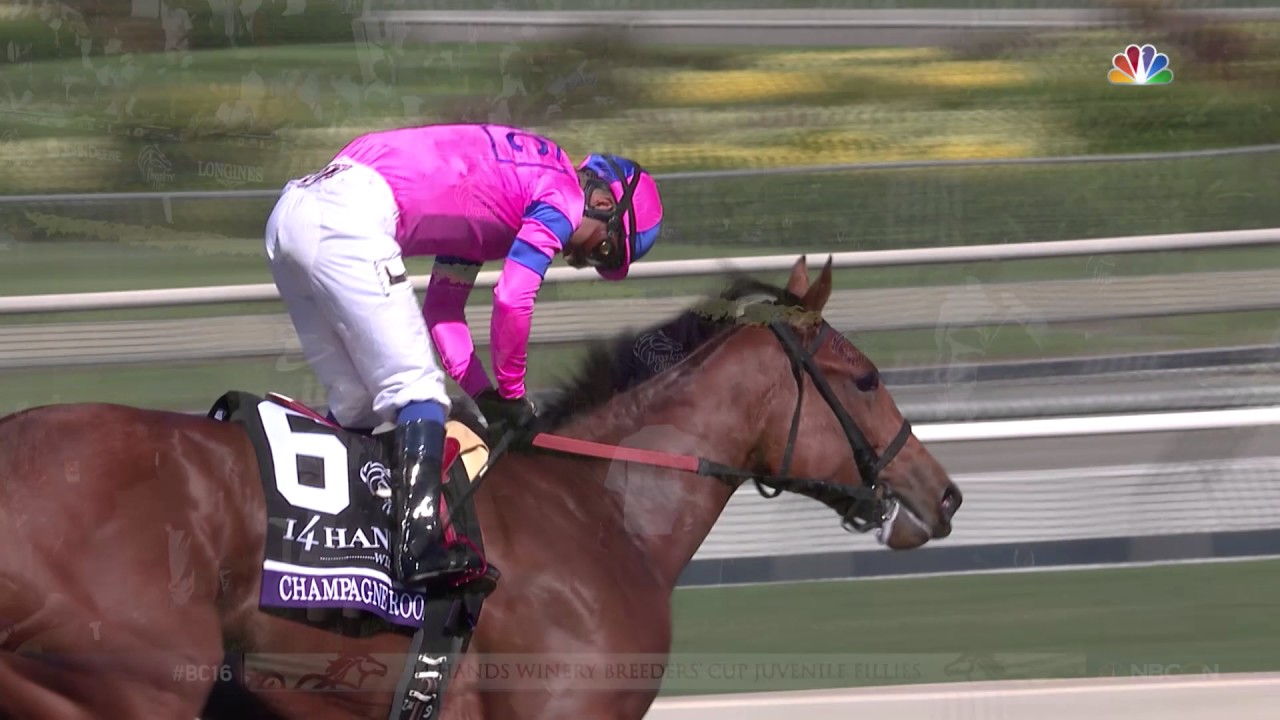 2016 14 Hands Winery Breeders' Cup Juvenile Fillies