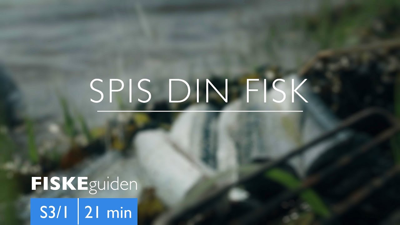 FISKEguiden: Spis din fisk
