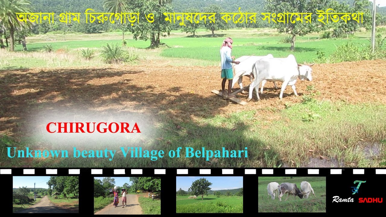 Chirugora / Beautiful unknown adivasi Village/ অজানা চিরুগোড়ার মানুষের জীবন কথা/Belpahari W.B India