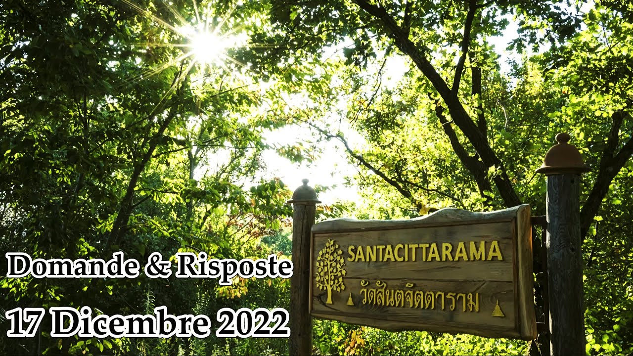 Ajahn Mahāpañño - Dhamma Domande e Risposte [Sabato 17 Dicembre 2022]