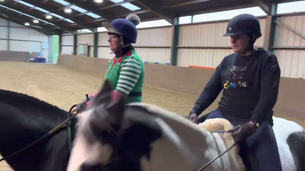 Rogate riding club online dressage PAIRS walk/trot Lisa Wheatley and Rex / Jodie Thackeray and king