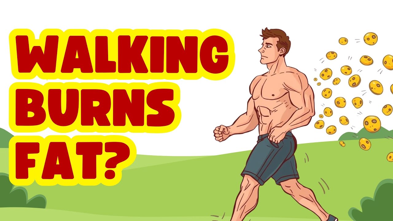 What Happens to Your Fat Cells When You Walk 30 Minutes a Day? (Science Explained)
