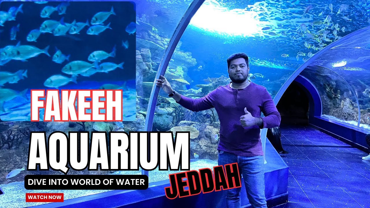 Fakeeh Aquarium Jeddah’s Underwater Paradise || فقيه أكواريوم || Jeddah tour with 