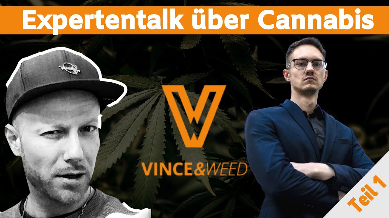 Expertentalk mit Vincent Kühne (ADHS, medizinisches Cannabis, Therapie und Legalisierung)