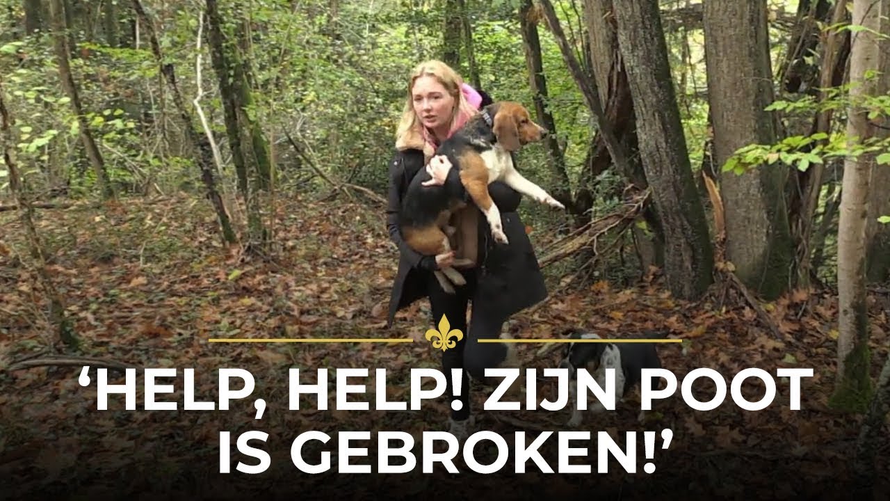 Maxime REDT GEWONDE HOND! | Chateau Meiland
