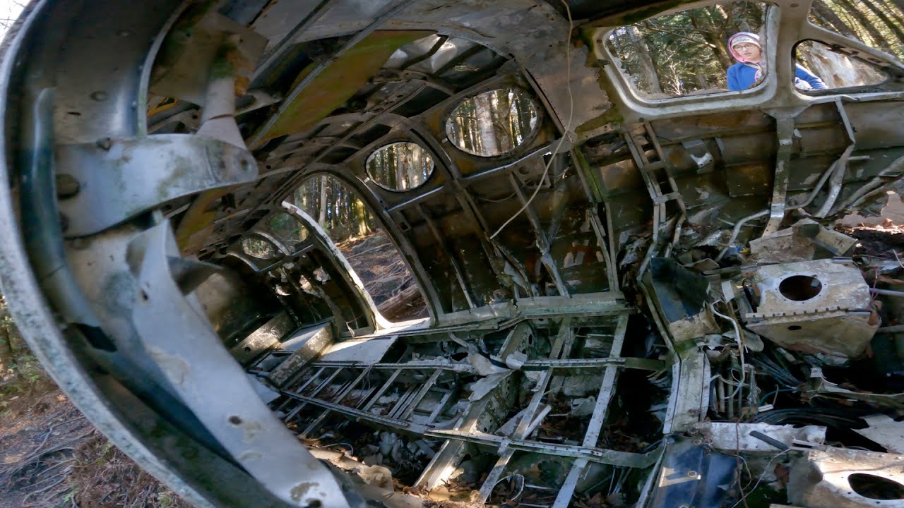 1988 Ван Тойота | Browning Knob Катастрофа Cessna в 1983 году.
